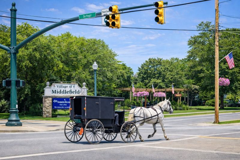 Best Shower Installation pros in Middleburg, FL